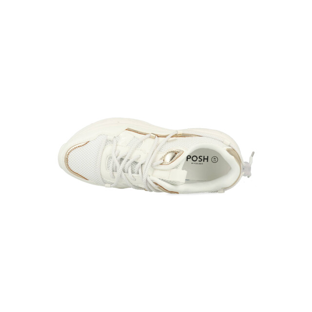 PS Poelman Nova c1210815apsh C1210815APSH large