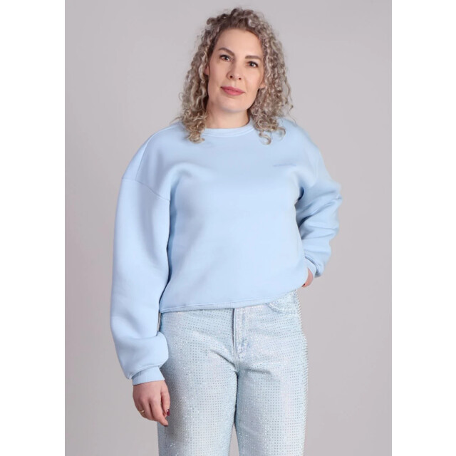 Modström Tiamd sweater licht 9308458058056 large