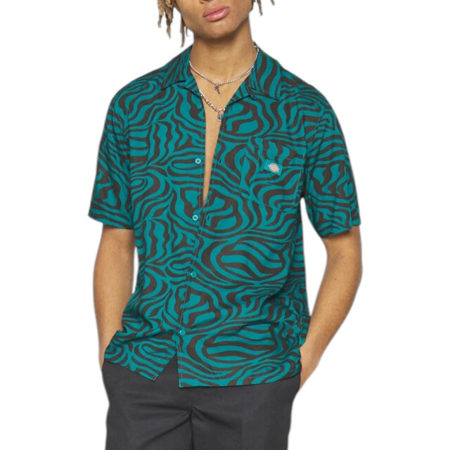 Dickies Shirt heren Dickies Groen Clackamas Zebra T-shirt large