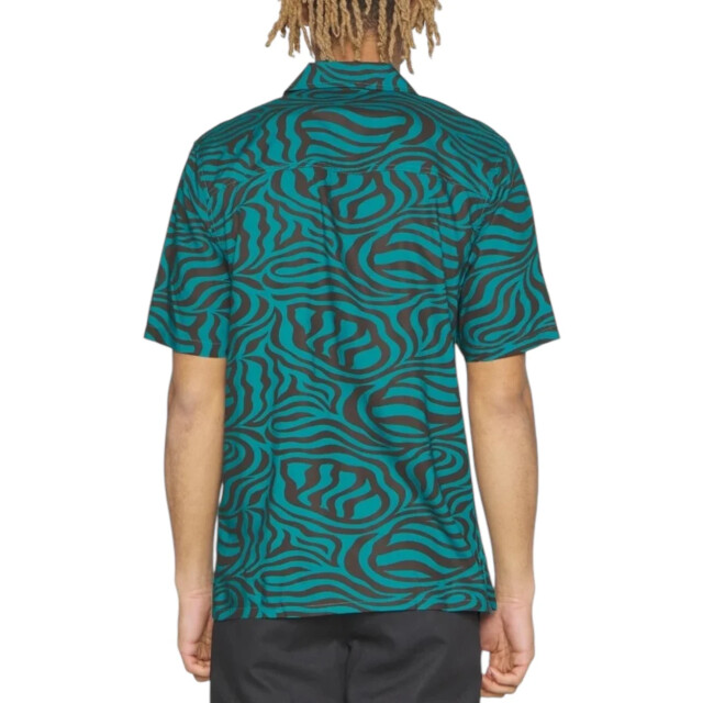 Dickies Shirt heren Dickies Groen Clackamas Zebra T-shirt large