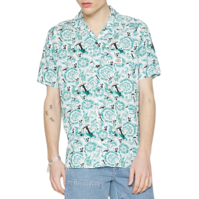 Dickies Shirt heren Dickies Blauw Blouse Met Print large