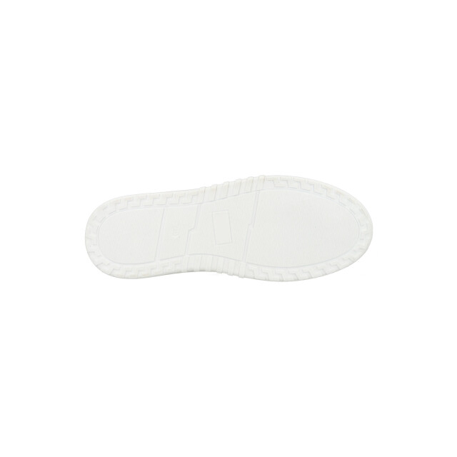 PS Poelman Anemone lpanemone-29poe5 LPANEMONE large