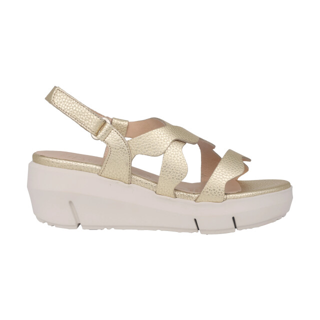 Wonders Max dames sandaal Max large
