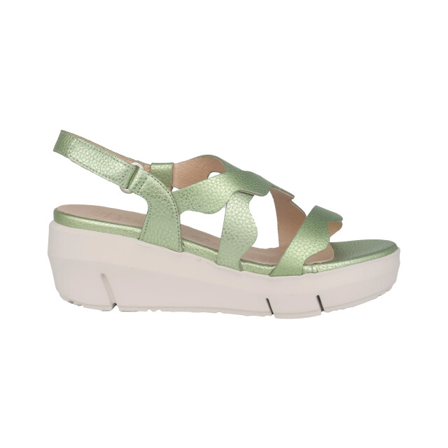 Wonders Max dames sandaal Max large
