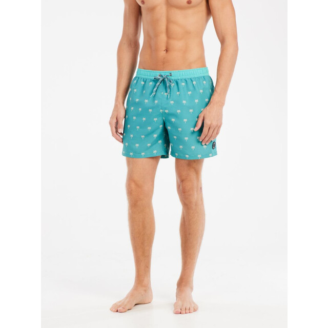 Protest parco beachshort zwemshort heren - 069603_300-M large