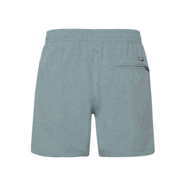 Protest davey beachshort zwemshort heren - 069601_300-M large