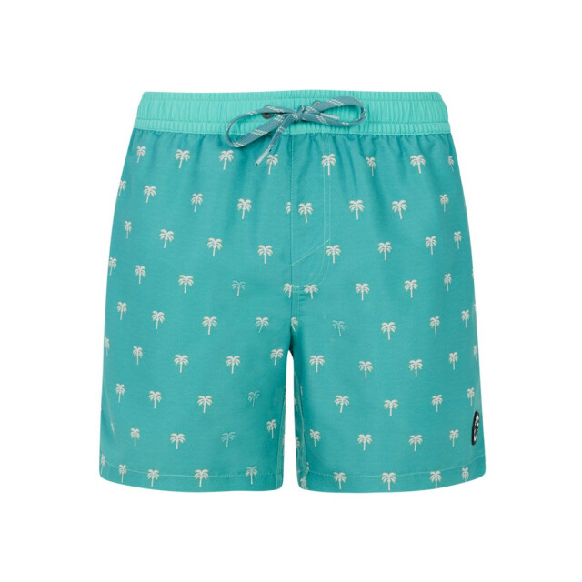 Protest parco beachshort zwemshort heren - 069603_300-M large
