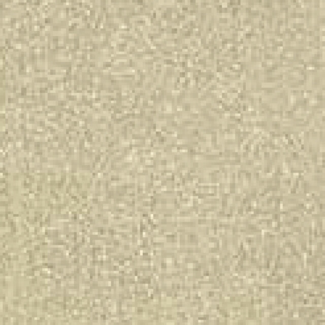 Para Mi Para-mi bobby coating- metallic bobby-metallic gold large