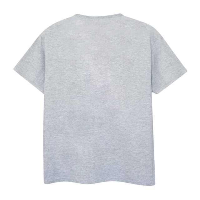 Li-cense Star wars meisjes collegiate chewbacca t-shirt UTBI1100_sportsgrey large