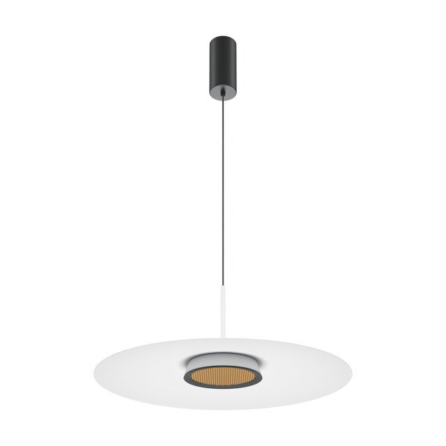 Maytoni hanglamp el - Ø50 2993519 large