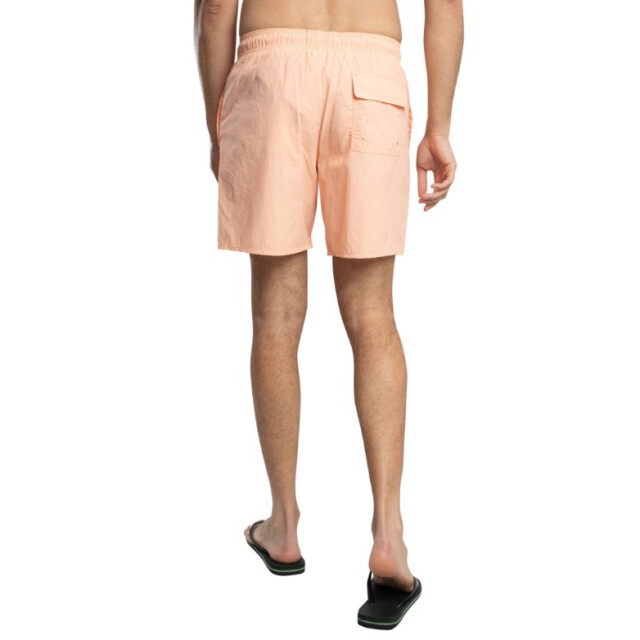 Lyle and Scott Zwim short koraal 5729.42.0003 large