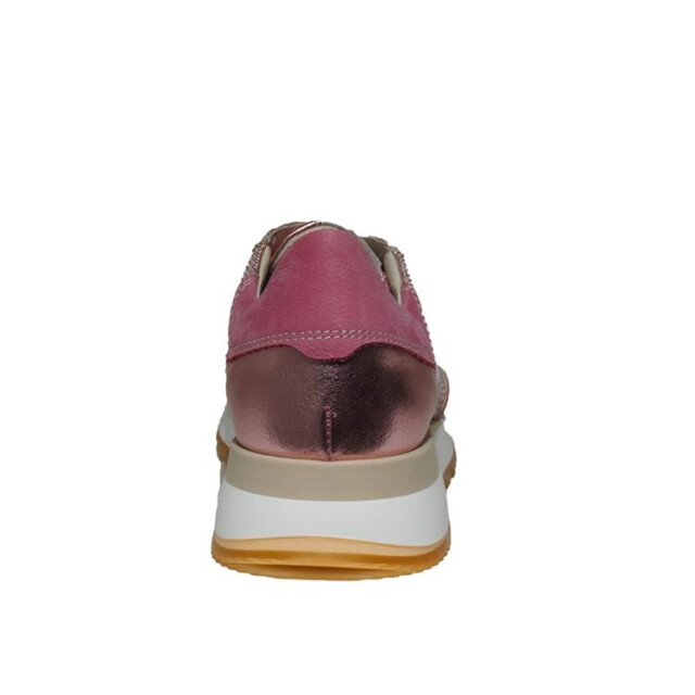 DL Sport 6225 6225 large