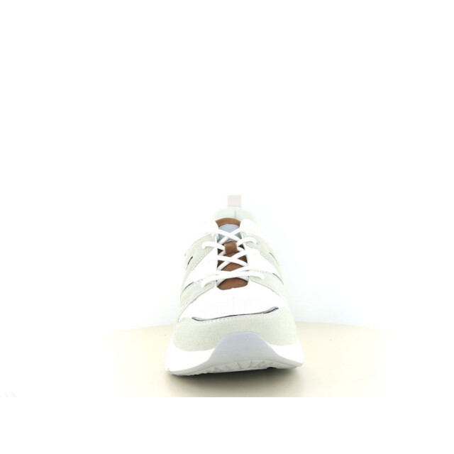 PS Poelman C18582xm01 131.10.288 large