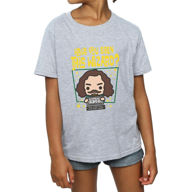Li-cense Harry potter meisjes sirius zwart azkaban junior katoenen t-shirt UTBI20847_sportsgrey large
