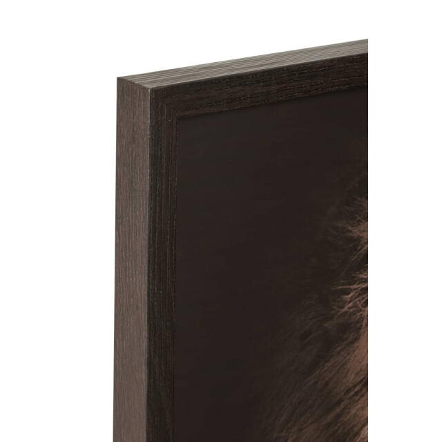 J-Line Kader leeuw en panter mdf glas bruin (2-delig) 30286 large