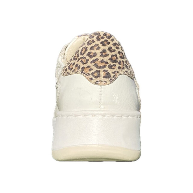 DL Sport Veterschoenen 6504 large