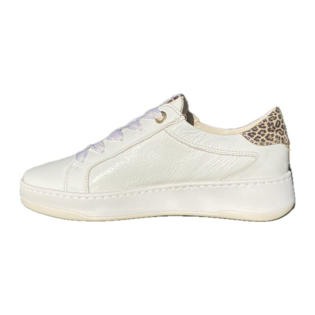 DL Sport Veterschoenen 6504 large