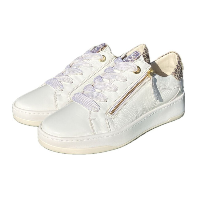 DL Sport Veterschoenen 6504 large