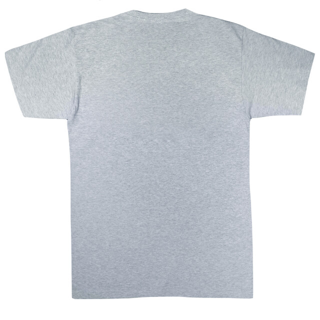 Li-cense Marvel meisjes avengers assemble team schets katoenen t-shirt UTBI2597_sportsgrey large