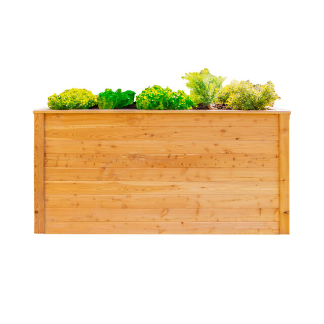 Westmann Verhoogde kweekkas classic plus 170 170x90x125 cm 3078873 large