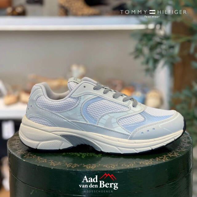 Tommy Hilfiger Herenschoenen sneakers EM0EM01569 large