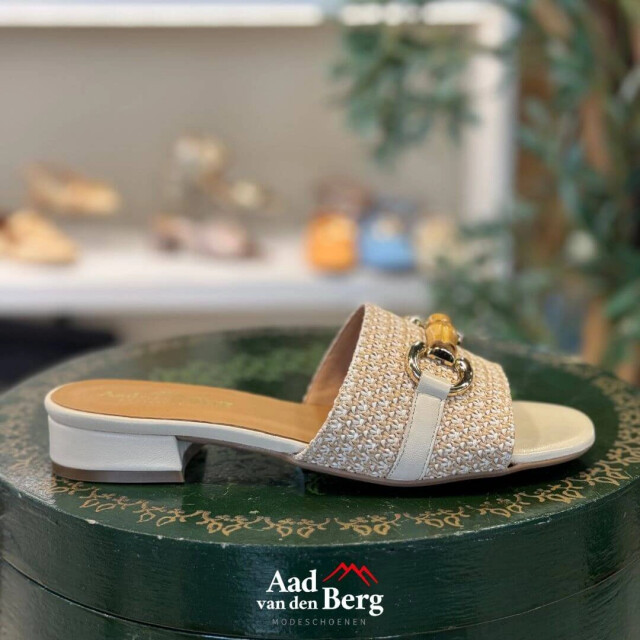 AVDB Damesschoenen slippers 50561 10.505 large