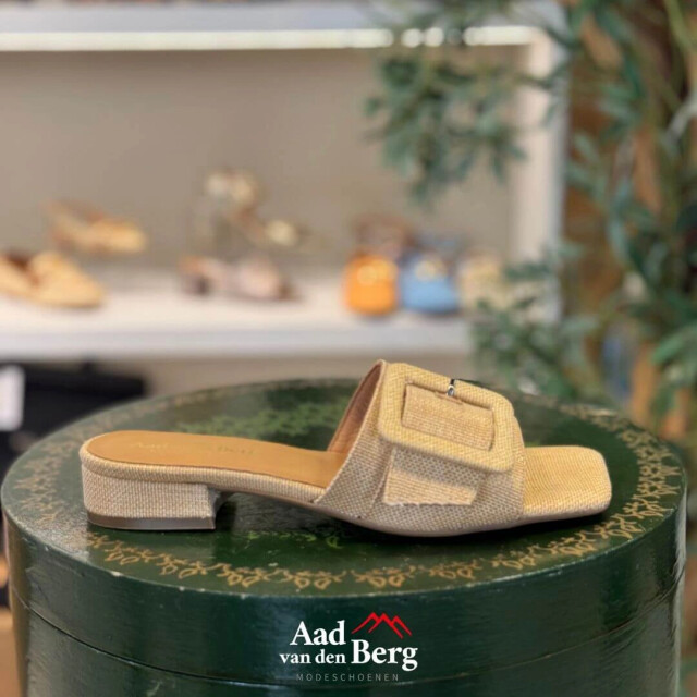 AVDB Damesschoenen slippers 50557 10.505 large