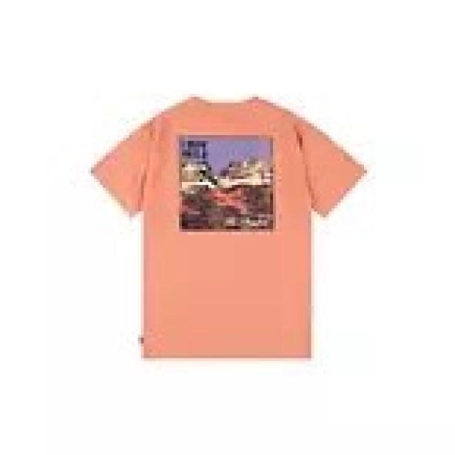 Levi's kinderen jongens t-shirts 3339.15.0066 - 3339.15.0066 large