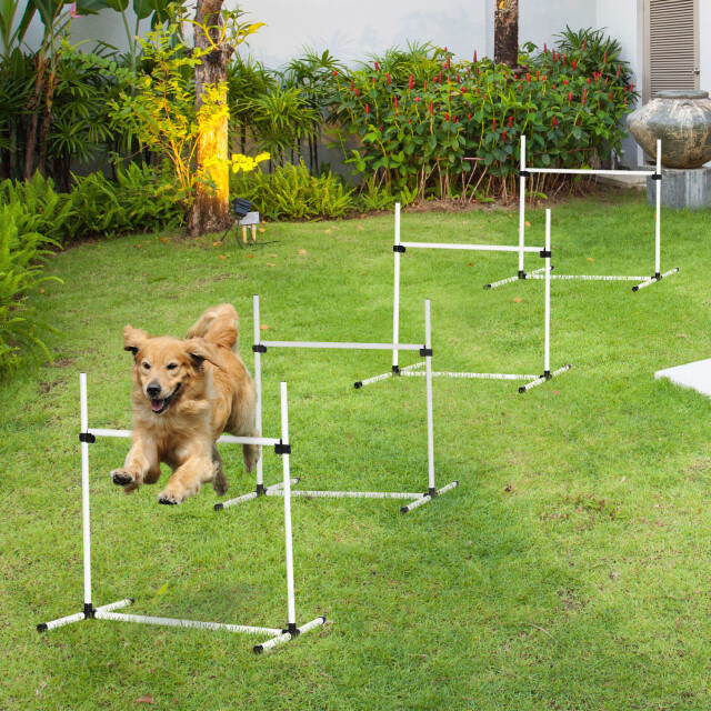4goodz Pawhut hondentrainingsset 4x horden slalom - 3157925 large
