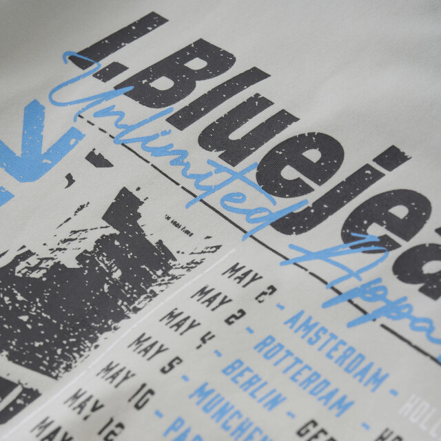 Indian Blue Zomer t-shirt s/s jongens - badge print 960189-1224-Dawn Blue large