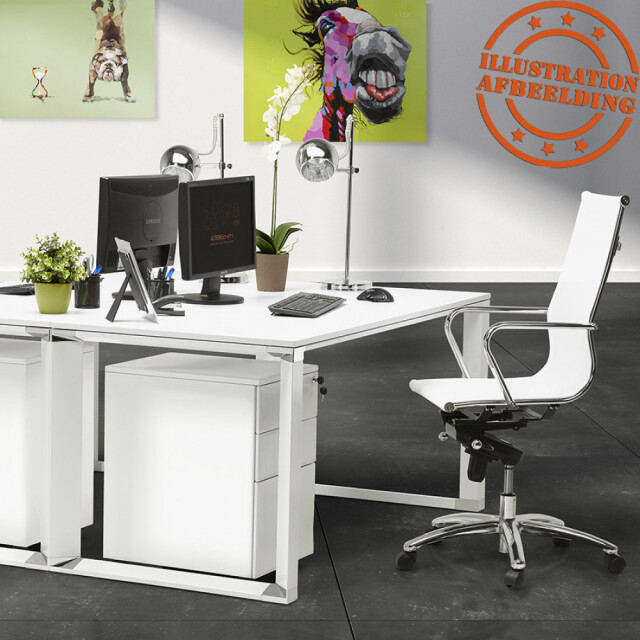 Alterego Ontwerper directiekantoor xline 2949967 large