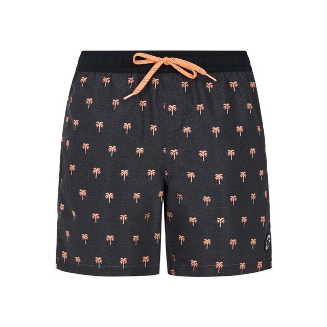 Protest parco beachshort zwemshort heren -multicolour 068422_905-S large
