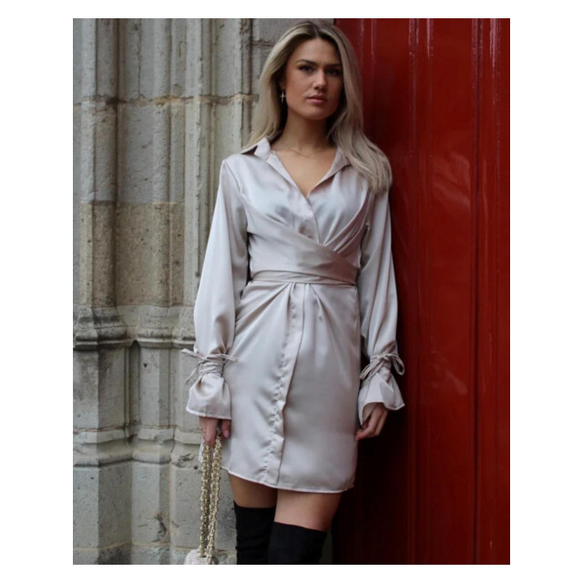 The Dezzy Factory Silky dress | 2400322 large