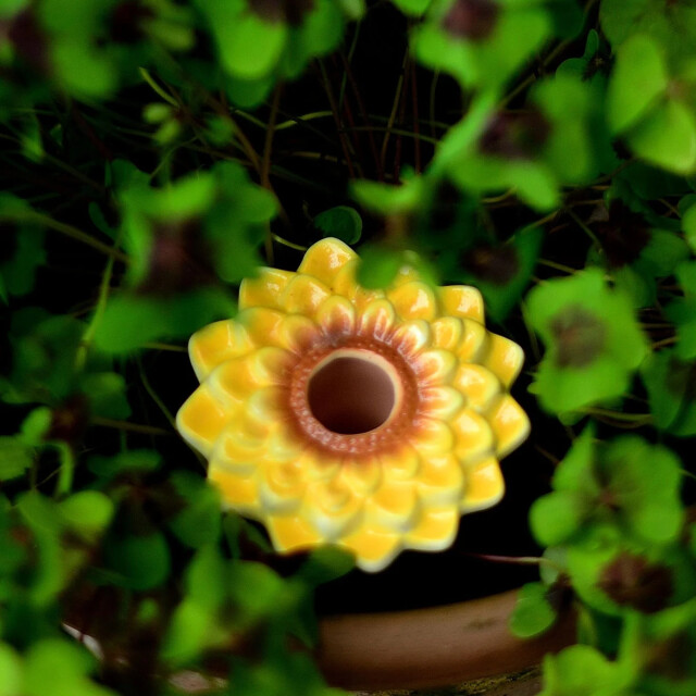 CaliCosy Luchtbevochtiger voor planten set van 3 2928203 large