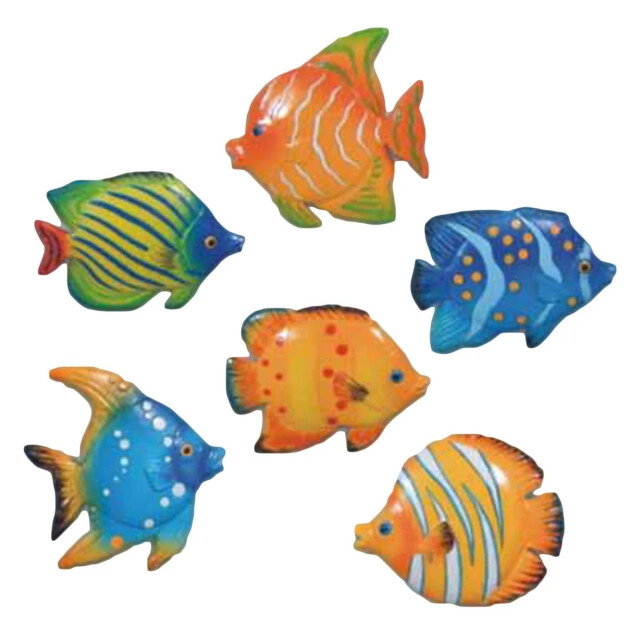 CaliCosy Magneten exotische vissen set van 6 2928596 large