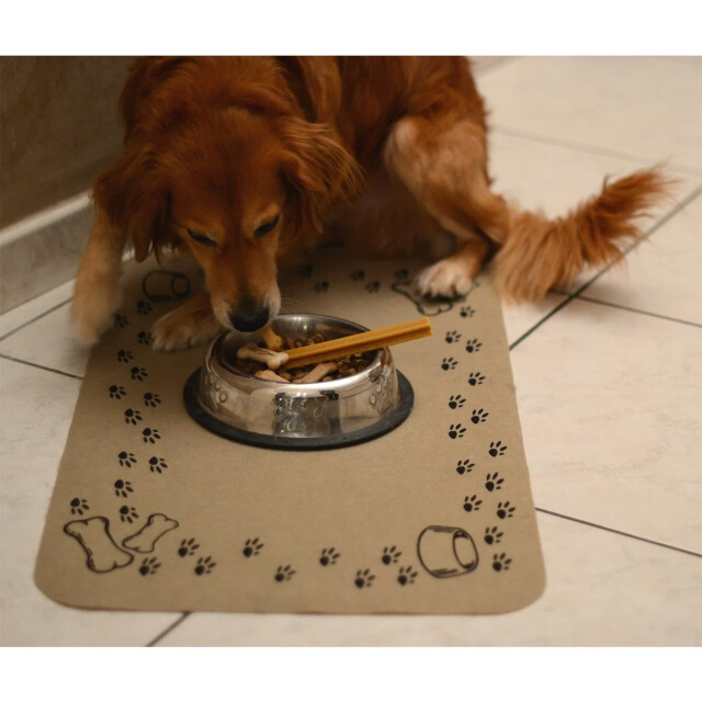CaliCosy Voerbak voor honden set van 2 2928631 large