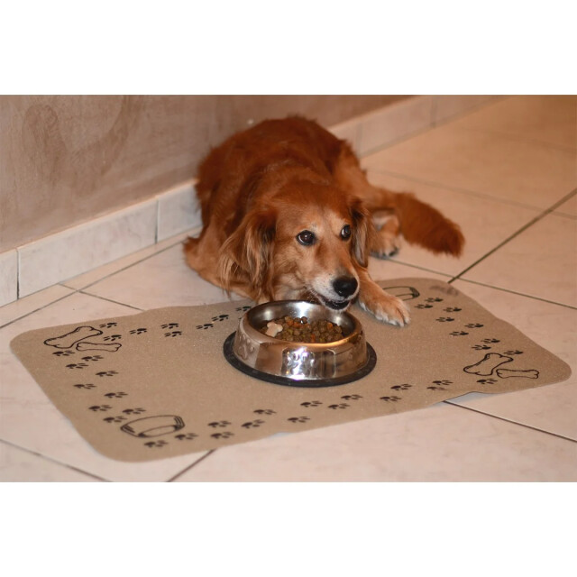 CaliCosy Voerbak voor honden set van 2 2928631 large