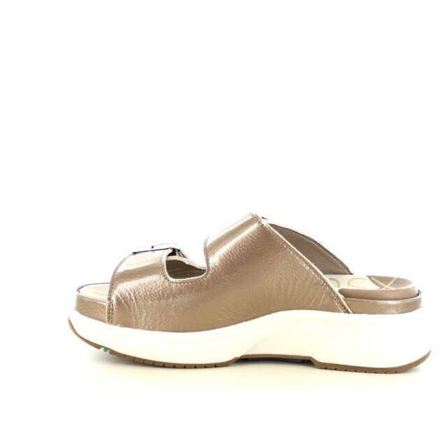 Xsensible 281.40.324 Slippers Taupe 281.40.324 large