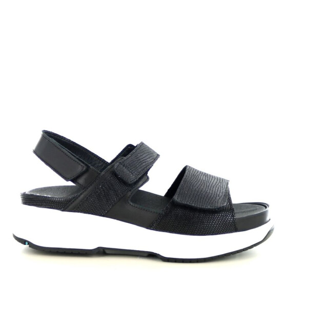 Xsensible 290.90.339 Sandalen Zwart 290.90.339 large