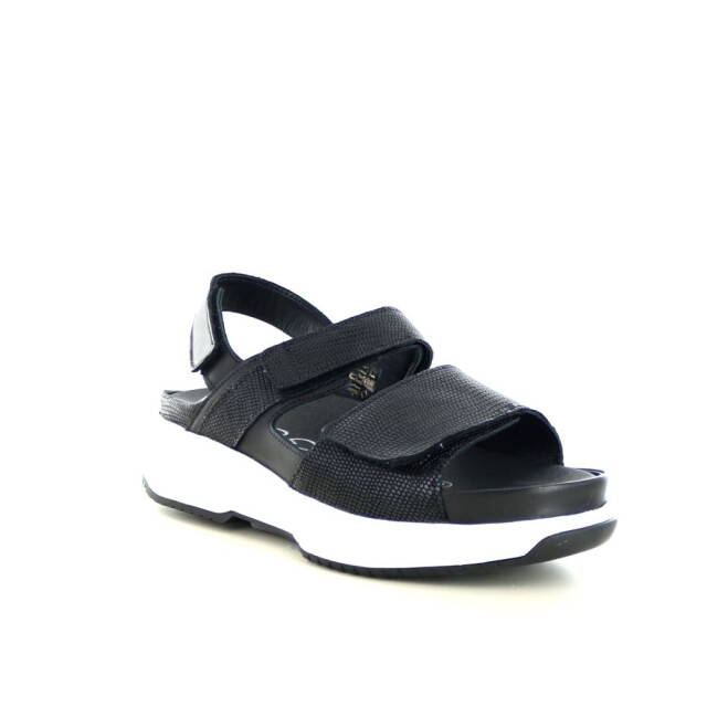 Xsensible 290.90.339 Sandalen Zwart 290.90.339 large