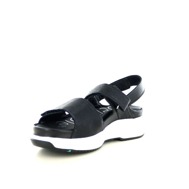 Xsensible 290.90.339 Sandalen Zwart 290.90.339 large