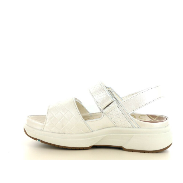 Xsensible 290.10.331 Sandalen Wit 290.10.331 large