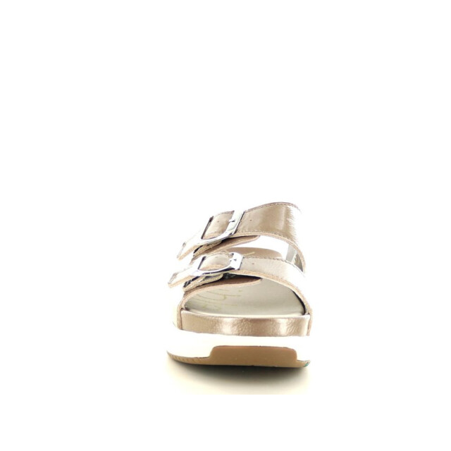 Xsensible 281.40.324 Slippers Taupe 281.40.324 large
