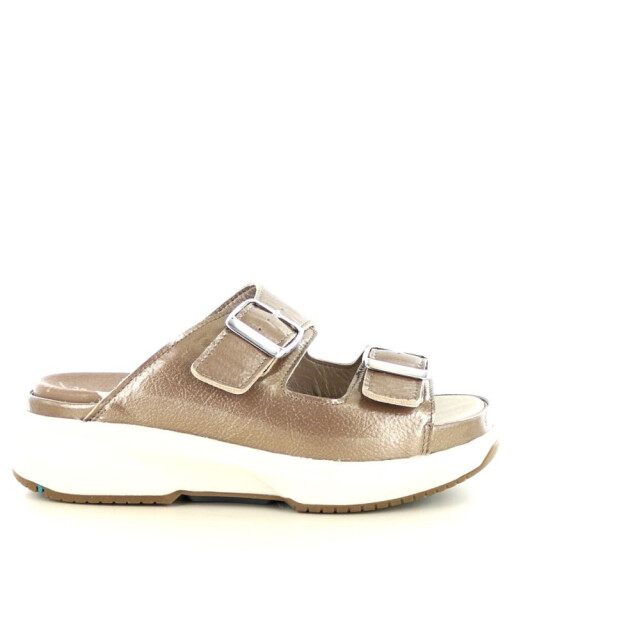 Xsensible 281.40.324 Slippers Taupe 281.40.324 large
