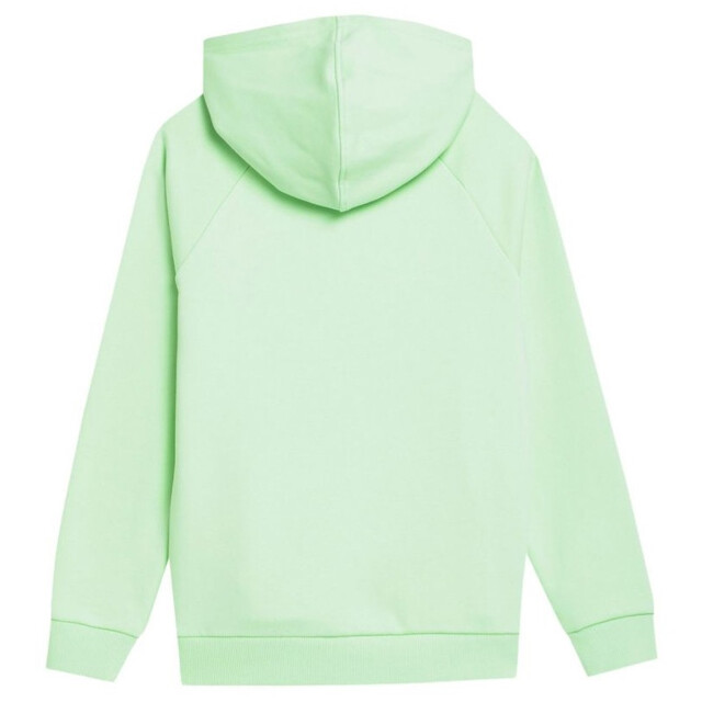 4F Kinderen/kids jss23tswsm220 hoodie UTMR1423_green large