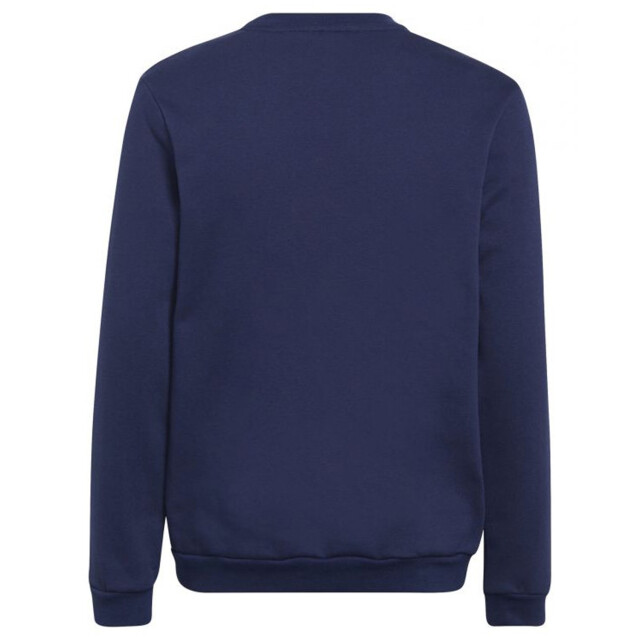 Adidas Kinderen/kinderen entrada 22 sweatshirt UTMR1434_navyblue large