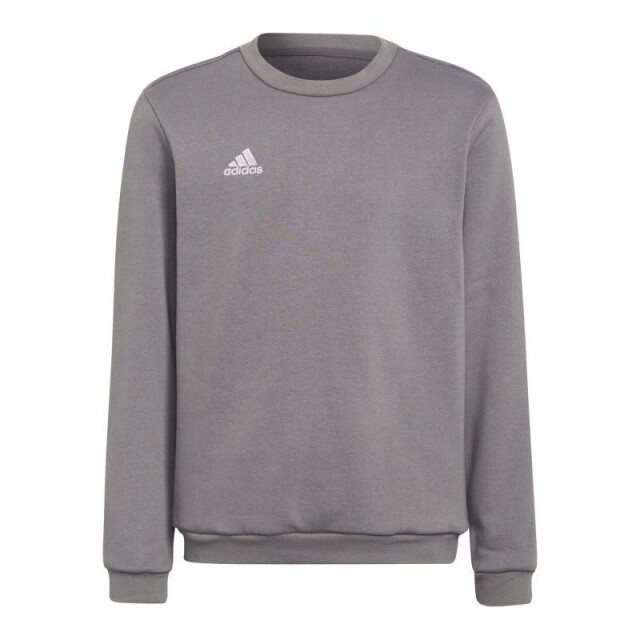 Adidas Kinderen/kinderen entrada 22 sweatshirt UTMR1434_grey large