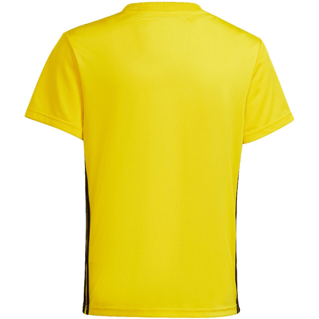 Adidas Kinder/kindertafel 23 jersey UTMR78597_yellow large