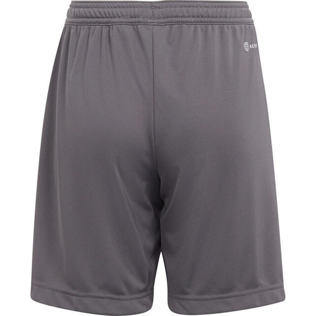Adidas Kinderen/kinderen entrada 22 korte broek UTMR78531_grey large