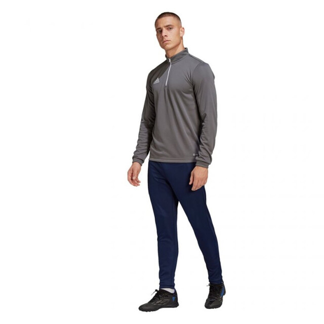 Adidas Heren entrada 22 trainings sweatshirt UTMR78510_grey large